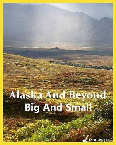 Фауна Аляски: От мала до велика / Alaska And Beyond: Big And Small (2022) HDTVRip 720p