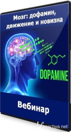Мозг: дофамин, движение и новизна (2022) Вебинар