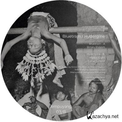 Bluetrain & Hydergine - Untitled (2022)