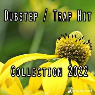Dubstep / Trap Hit Collection 2022 (2022)