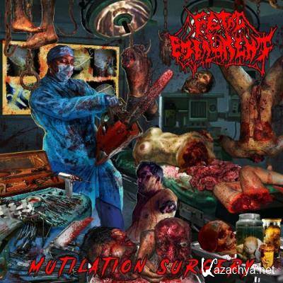 Fetal Embalment - Mutilation Surgery (2022)