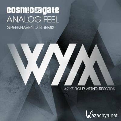 Cosmic Gate - Analog Feel (Greenhaven DJs Remix) (2022)
