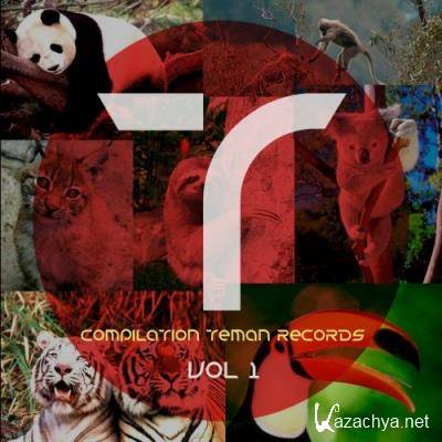 Compilation Teman Records Vol 1 (2022)
