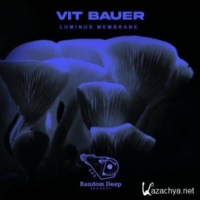 Vit Bauer - Luminus Membrane (2022) Vit Bauer - Luminus Membrane (2022)