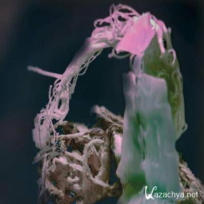 Imogen - What? (2022)