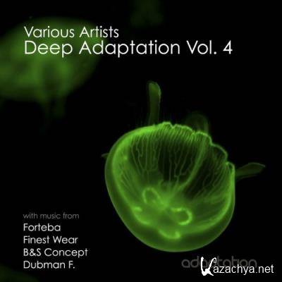 Deep Adaptation, Vol. 4 (2022)