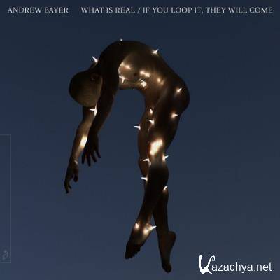 Andrew Bayer - What Is Real / If You Loop It They Will Come (2022)