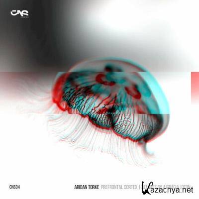 Aridan Torke - Prefrontal_Cortex EP (2022)