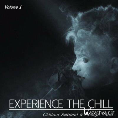 Experience the Chill, Vol. 1 (Chillout Ambient & Lounge Vibes) (2022)