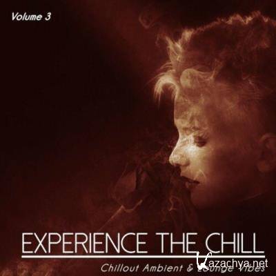 Experience the Chill, Vol. 3 (Chillout Ambient & Lounge Vibes) (2022)