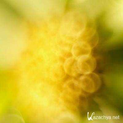 Sasse - The Magic Potion (2022)