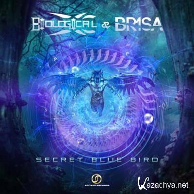 Biological & Br1sa - Secret Blue Bird (2022)