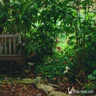 Oliver Henry - Exit Points (2022)