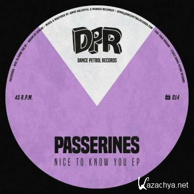 Passerines - Nice to Know You (2022)