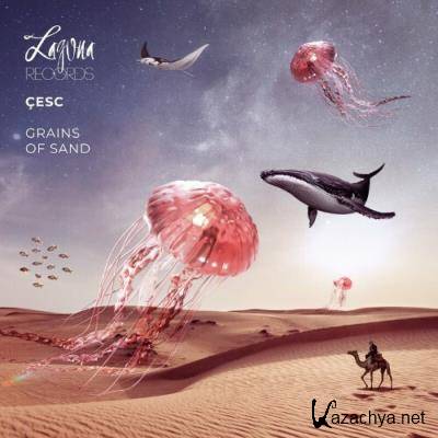 Cesc - Grains of Sand (2022)