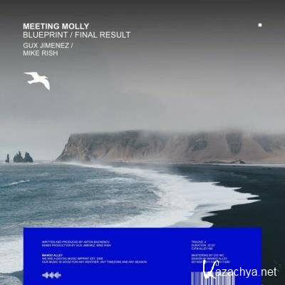 Meeting Molly - Blueprint / Final Result (2022)