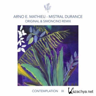 Arno E. Mathieu - Contemplation IX - Mistral Durance (2022)