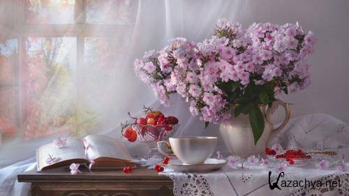 Wallpapers Mix �1036