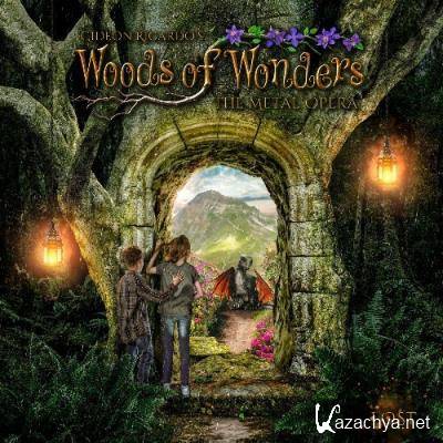 Woods of Wonders, Stefani Keogh, Daniel Heiman, Fabio Lione, Danny Meyer, Zachary Wojtowicz, Luigi Soranno, Thomas Schmitt, Max Rudolph - Lost (2022)