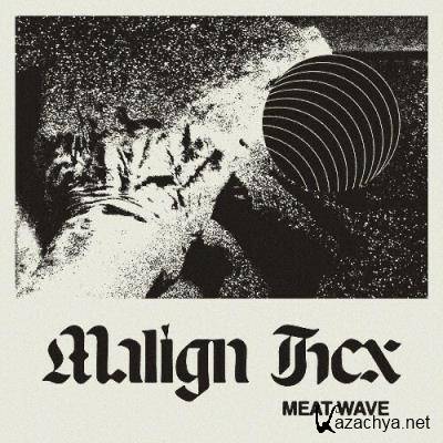 Meat Wave - Malign Hex (2022)