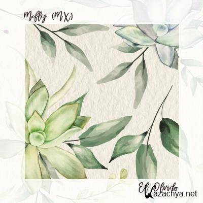 Mcfly (MX) - El Olvido (2022)