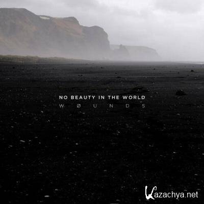 wounds - No Beauty In The World (2022)