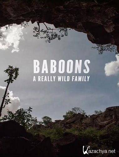 Дикая семейка бабуинов / Baboons: A Really Wild Family (2021) HDTVRip 720p