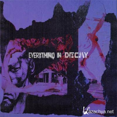 The Microgram - Everything In Decay (2022)