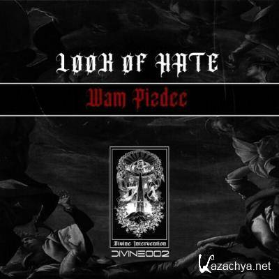 LOOK OF HATE - Wam Pizdec (2022)