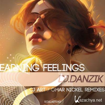 DJ Danzik - Earning Feelings (2022)