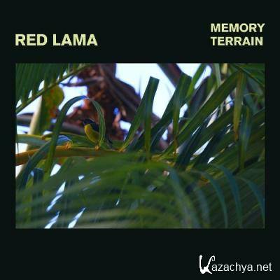 Red Lama - Memory Terrain (2022)