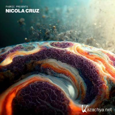 Fabric Presents Nicola Cruz (DJ Mix) (2022)