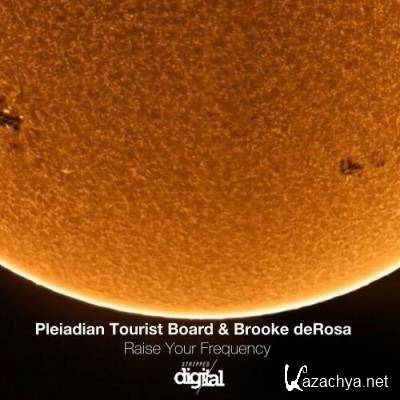 Pleiadian Tourist Board & Brooke deRosa - Raise Your Frequency (2022)