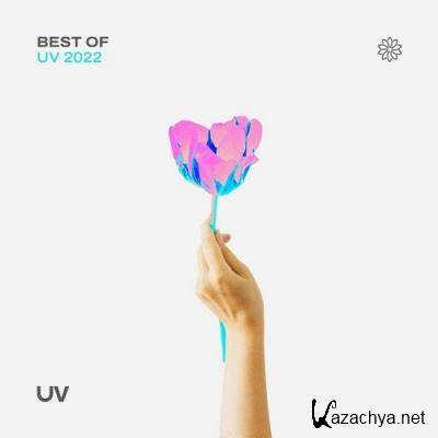 Best Of UV 2022 (2022)