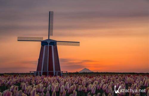 Wallpapers Mix �1052