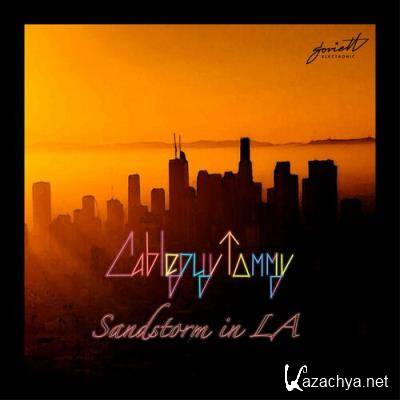 Cableguy Tommy - Sandstorm in La (2022)