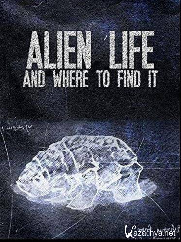       / Alien Life and Where to Find It (2018) HDTVRip