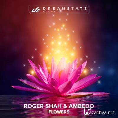 Roger Shah & Ambedo - Flowers (2022)