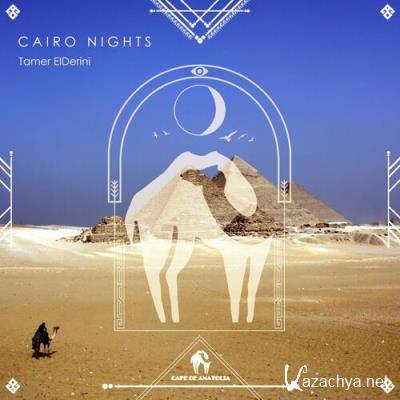Tamer ElDerini - Cairo Nights (2022)