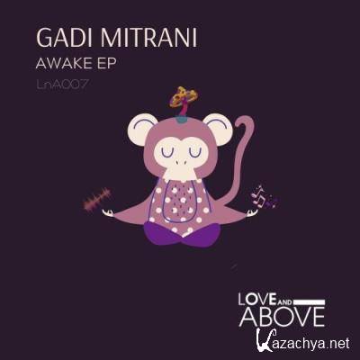 Gadi Mitrani - Awake (2022)