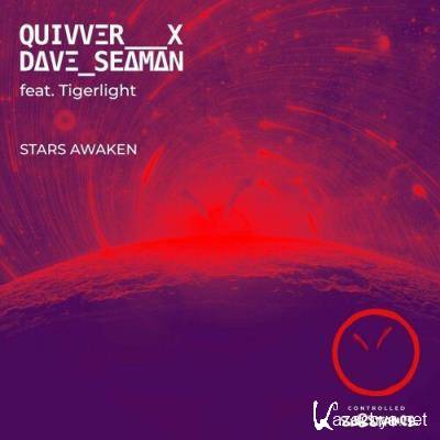 Quivver x Dave Seaman ft Tigerlight - Stars Awaken (2022)