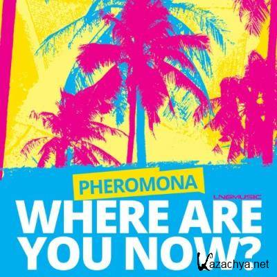 Pheromona - Where Are You Now (2022)