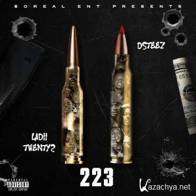 Ladii Twenty2 & Dsteez - 223 (2022)
