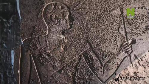   .    / Le palais des hieroglyphes - Sur les traces de Champollion (2022) HDTVRip 720p
