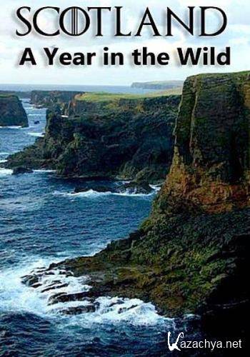 :   / Scotland: A Wild Year (2021) HDTVRip