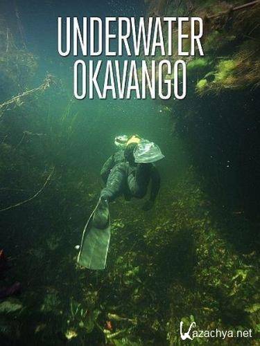   / Underwater Okavango (2012) HDTVRip 720p