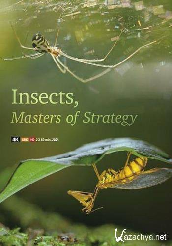     / Insects, Geniuses Strategy (2021) HDTVRip 720p