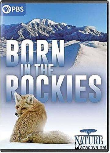 Рожденные в Скалистых горах / Born in the Rockies (2021) HDTVRip 720p