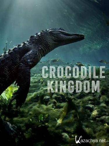   / Crocodile Kingdom (2020) HDTVRip 720p