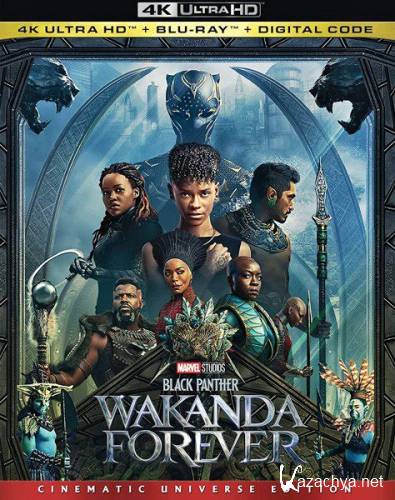 ׸ :   / Black Panther: Wakanda Forever (2022) HDRip / BDRip 720p / BDRip 1080p / 4K